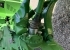 JD 8370R 4WD TRAKTOR (NR115), BEG John Deere 8370R  JD 8370R 4WD TRAKTOR (NR115), BEG