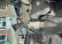 John Deere 6215R John Deere 6215R  John Deere 6215R