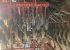 VDERSTAD SPIRIT 600C FIX SMASKIN Vderstad SPIRIT 600C FIX SMASKIN BIODRILL 360  SEED EYE VERVAKNING
DRIFTSTID: CA 4000 HA
...
MNR 32153
...
PRIS EXKL. MOMS: 1.395.000:-
...
Vi reserverar oss fr felskrivning. Kontakta alltid oss innan du ker och tittar, s vi kan skerstlla att maskinen finns p plats.
 VDERSTAD SPIRIT 600C FIX SMASKIN