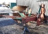KVERNELAND EG 85-300 5-SKR VXELPLOG vrigt KVERNELAND EG 85-300 5-SKR Uppdrag 250000 ex moms
Tiltpackare
KKEG-85-300
Hydrualisk tiltbredd
Skumrist
Skiv rist
Kraftigare 300 huvud KVERNELAND EG 85-300 5-SKR VXELPLOG
