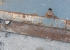 ISRIVARSKOPA  GS STORA BM 5M3 2750 vrigt ISRIVARSKOPA  GS STORA BM 5M3 2750 bred
5 kubik 
Sparstl+ isrivarstl
Sparsamt anvnd ISRIVARSKOPA  GS STORA BM 5M3 2750