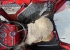 MASSEY FERGUSON 165 S vrigt MASSEY FERGUSON 165  MASSEY FERGUSON 165 S