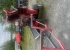 Vedmaskin Pilkemaster Evo 36 EL Pilkemaster Vedmaskin Evo 36 Elevatorband och inmatingsbordbytt.
Elmotor bytt fr 2 r sedan. Vedmaskin Pilkemaster Evo 36 EL