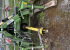 Slåtterkross Krone Easy Cut B 1000 Cv Collect Krone Slåtterkross Easy Cut B 1000 C Uttagen 2021

Genomgången, ring för mer info. Slåtterkross Krone Easy Cut B 1000 Cv Collect
