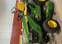 JOHN DEERE X167 ROTORMASKIN John Deere X167 ROTORMASKIN MNR 36227
...
PRIS EXKL. MOMS: 45.000:-
...
Vi reserverar oss för felskrivning. Kontakta alltid oss innan du åker och tittar, så vi kan säkerställa att maskinen finns på plats.
 JOHN DEERE X167 ROTORMASKIN