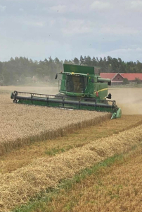 JOHN DEERE T670 SKÖRDETRÖSKA John Deere T670 SKÖRDETRÖSKA JOHN DEERE 630R SKÄRBORD  SKÄRBORDSVAGN
...
MNR 24965
...
PRIS EXKL. MOMS: 2.650.000:-
...
Vi reserverar oss för felskrivning. Kontakta alltid oss innan du åker och tittar, så vi kan säkerställa att maskinen finns på plats.

