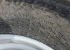 ALLIANCE 600/50 R22,5 HJUL 4 ST 95% Övrigt ALLIANCE 600/50 R22,5 HJUL 4 S  ALLIANCE 600/50 R22,5 HJUL 4 ST 95%
