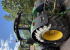 JOHN DEERE 7310R AP TRAKTOR 50 KM (KUND) John Deere JD 7310R AP TRAKTOR 50 KM FÖRSÄLJNINGSUPPDRAG
...
MNR 25157
...
PRIS EXKL. MOMS: 1 695 000:-
...
Vi reserverar oss för felskrivning. Kontakta alltid oss innan du åker och tittar, så vi kan säkerställa att maskinen finns på plats.
 JOHN DEERE 7310R AP TRAKTOR 50 KM (KUND)